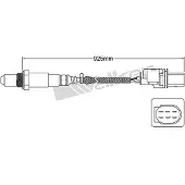 VEGAZ ULS-706 Lambdasonde