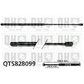Quinton Hazell QTS828099 Gasveer motorkap