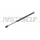 PRASCO FD4229053 Gasveer achterklep