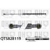 Quinton Hazell QTS828119 Gasveer achterklep