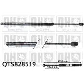 Quinton Hazell QTS828519 Gasveer achterklep