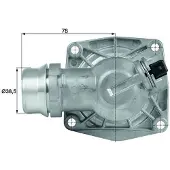MAHLE ORIGINAL TM 16 105 Thermostaat, koelvloeistof