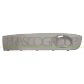 BLIC 6502-07-9568917P Ventilatiegrille, bumper