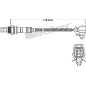 VEGAZ DLS-194 Lambdasonde