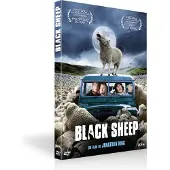 Bqhl Black Sheep - FR