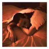 Import MIDNIGHT BUTTERFLIES