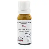 Dnh Alga