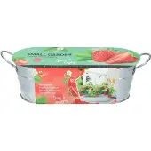 Buzzy Fruitzaad Kweekset In Teil Zoete Aardbei (Fragaria)