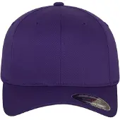 Hoedshop Spandex Flexfit Cap