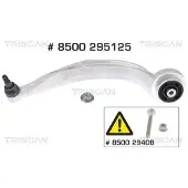 TRISCAN 8500 295125 Draagarm