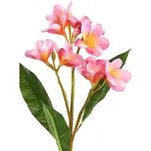 Ptmd Garden Flower Pink With Leaves