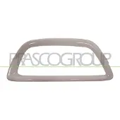 PRASCO RN7001248 Frame, mistlamp