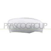 PRASCO DS8187413 Afdekking, buitenspiegel