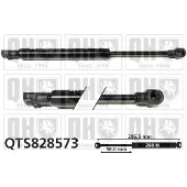 Quinton Hazell QTS828573 Gasveer motorkap
