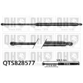 Quinton Hazell QTS828577 Gasveer achterklep