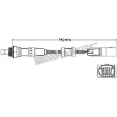 VEGAZ ULS-462 Lambdasonde