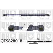 Quinton Hazell QTS828018 Gasveer achterklep