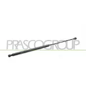 PRASCO AA3449055 Gasveer achterklep
