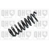 Quinton Hazell QCS5207 Chassisveer