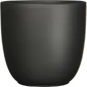 Everydays by Intratuin Bloempot Jules Zwart D 17 H 16 Cm