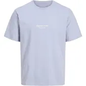Jack & Jones Junior Shirt 'JORVesterbro' pastelblauw / wit