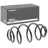 RIDEX 188C0181 Chassisveer