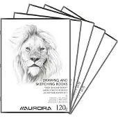 Aurora Tekenschrift - Tekenpapier - Schetsblok - A4 - 120gr - 32 Bladzijden - 20 stuks