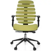 Schaffenburg Ergonomische bureaustoel 101 model Ruggengraatstoel in Groen