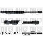 Quinton Hazell QTS828507 Gasveer, legbodem (Koffer- / Laadruimte)