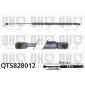 Quinton Hazell QTS828012 Gasveer achterklep