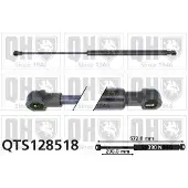 Quinton Hazell QTS128518 Gasveer achterklep