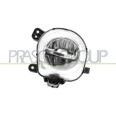 PRASCO BM8264413 Mistlamp