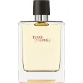 Hermès Paris - Terre D'hermes Eau De Toilette - 100 ML