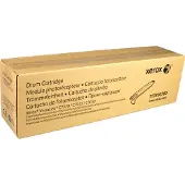 Xerox 113R00780 OPC Belt