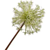 Silk-ka Kunstbloem-Zijden Bloemen Allium Steel Wit 104 cm