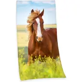 MCU Badlaken Paard met paardenmotief (1 stuk)