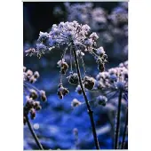 Mars & More Snow Outdoor TextielPoster fotoprint 95x130cm