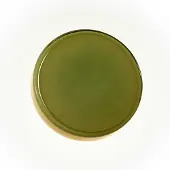 Marset Design wandlamp Caramel, dimbaar, groen, Woon-/ Eetkamer, Glas, Design, Wandlamp design