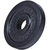 Gorilla Sports Halterschijf 2.5 kg gietijzer zwart