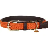 Kentucky Dogwear - Hondenhalsband - Vegan Leer Hondenriem - Maat XXS (28cm)