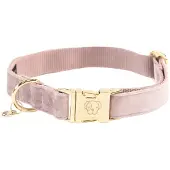Kentucky Dogwear - Velvet Hondenhalsband - Stijlvol ontwerp - zachte Roos - Maat M 36-52 cm - Hondenriem