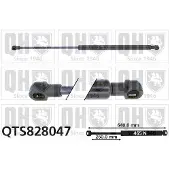 Quinton Hazell QTS828047 Gasveer achterklep