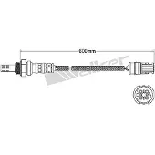 VEGAZ ULS-146 Lambdasonde