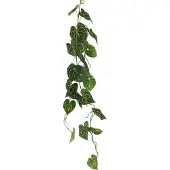 Coppens Scindapsus alba garland green 109cm