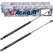 ACKOJA A26-0203 Gasveer achterklep