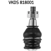 Skf VKDS 818001 Fuseekogel