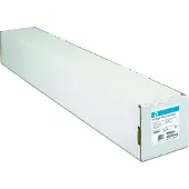 HP Groot formaat C6810A