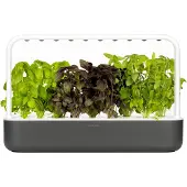 Click & Grow Smart Garden 9 - Dark Grey
