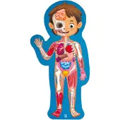 Hape Puzzle 60 pièces Corps humain