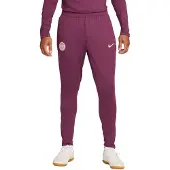Nike Paris Saint-Germain Strike Trainingsbroek 2024-2025 Paars Groen Wit Goud